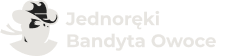 Gryonline2.pl Logo