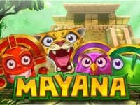 Mucha Mayana – analiza gry i funkcji automatu