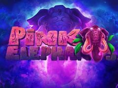 Pink Elephants
