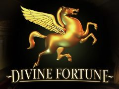 Divine Fortune